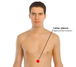 Celiac (or solar) plexus location