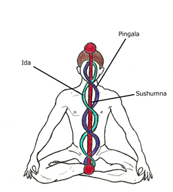 Ida, Pingala, Sushumna nadis
