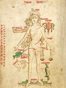 Zodiac man