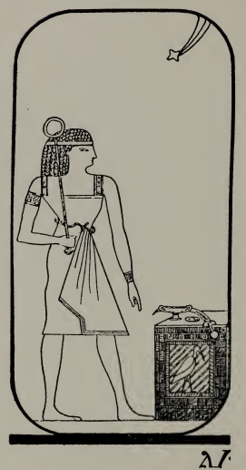 Tarot card
