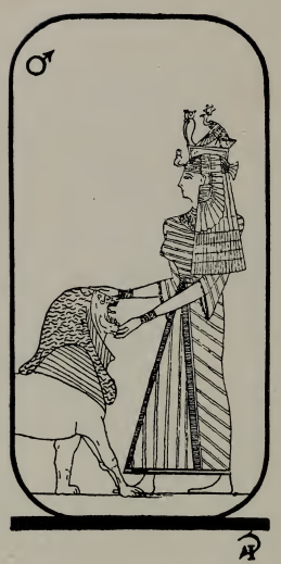 Tarot card