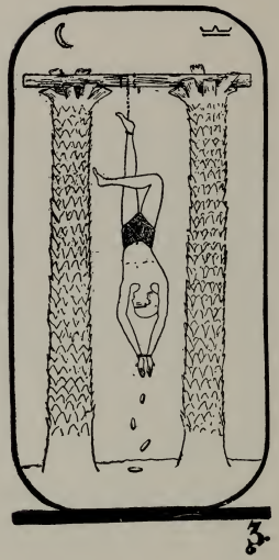 Tarot card