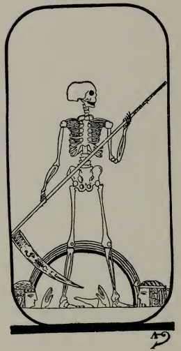 Tarot card