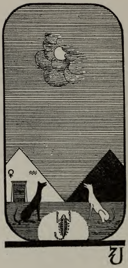 Tarot card