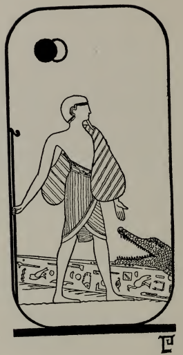 Tarot card