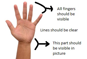 How to take an image of your palm